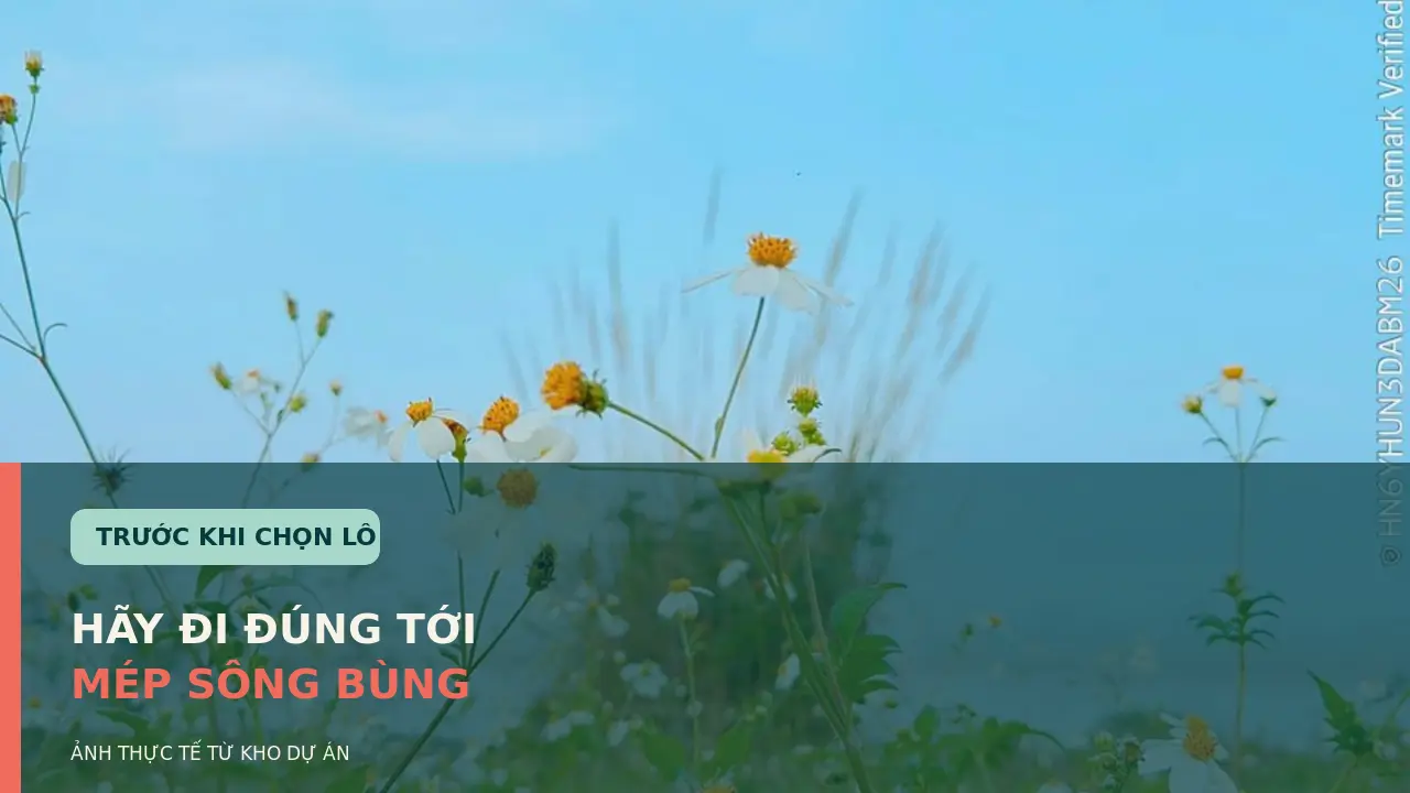 Ảnh thực tế tại khu vực bờ sông Bùng gần ROX Living Aquamarine