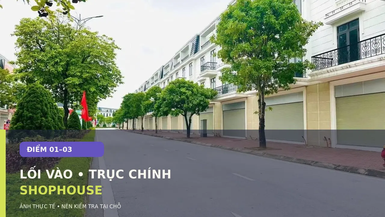 Ảnh thực tế trục đường và dãy shophouse ROX Living Aquamarine