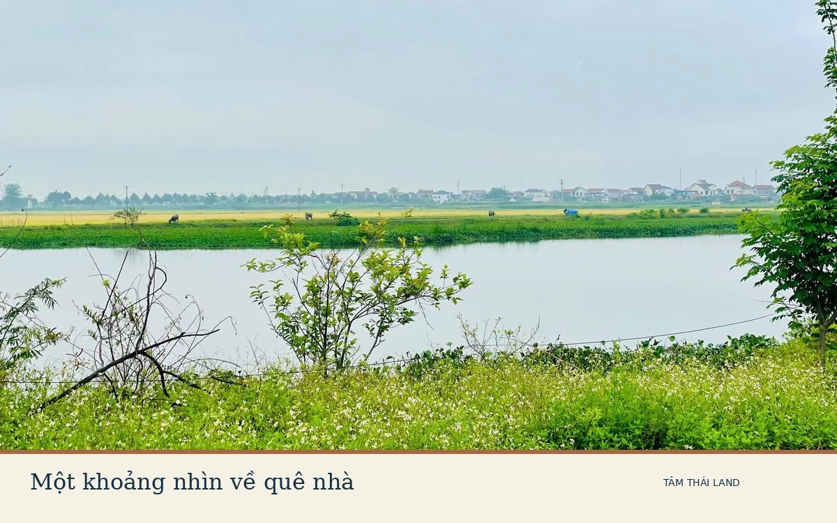 Mặt nước sông Bùng, bờ cây và cánh đồng trong ảnh tư liệu khu vực ROX Living Aquamarine Diễn Châu.