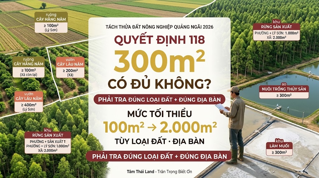 Diện tích tối thiểu tách thửa đất nông nghiệp Quảng Ngãi 2026 từ 100m² đến 2.000m² tùy loại đất và địa bàn