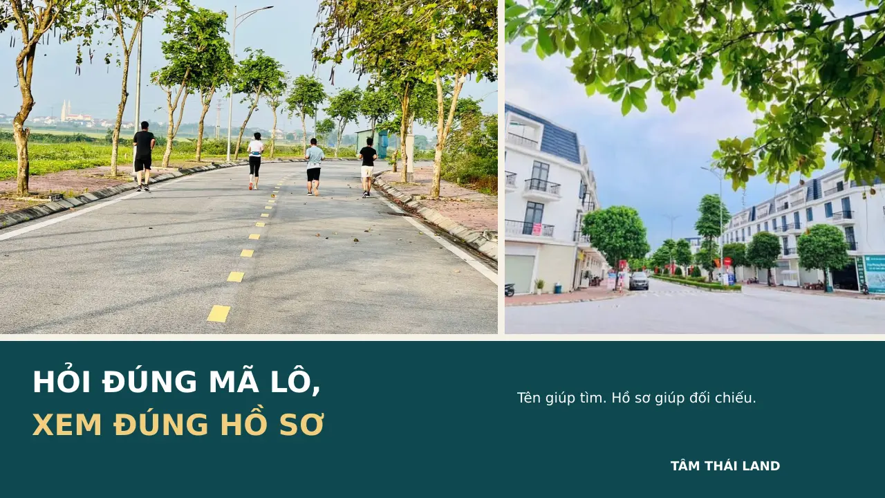 Người đi bộ và dãy nhà thực tế cùng nhắc kiểm mã lô, hồ sơ khi xem Aquamarine