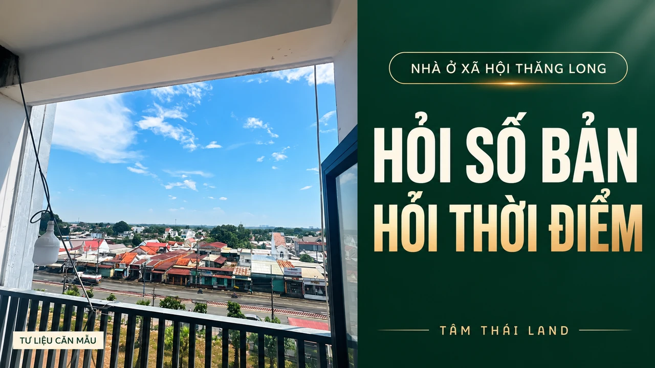 Hỏi số bản và thời điểm cung cấp giấy — góc nhìn qua cửa ra ngoài từ tư liệu dự án