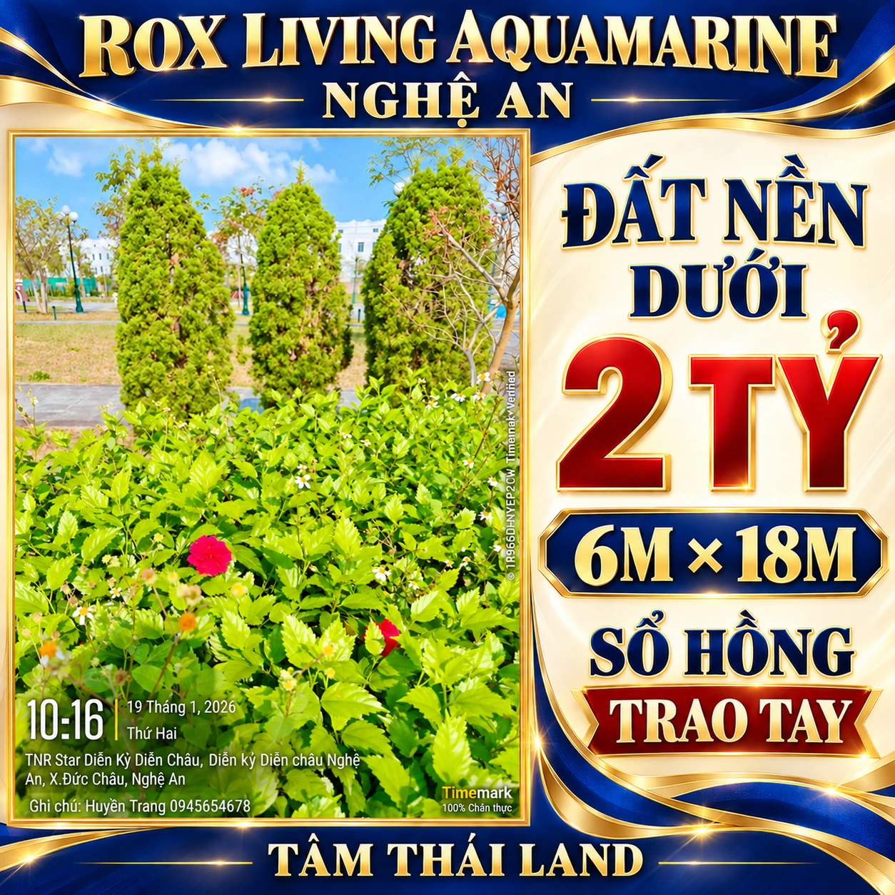 Tư liệu hoa dâm bụt đỏ trước ba cây tùng tại Aquamarine Nghệ An, thông tin đất nền dưới 2 tỷ, 6M × 18M, sổ hồng trao tay.