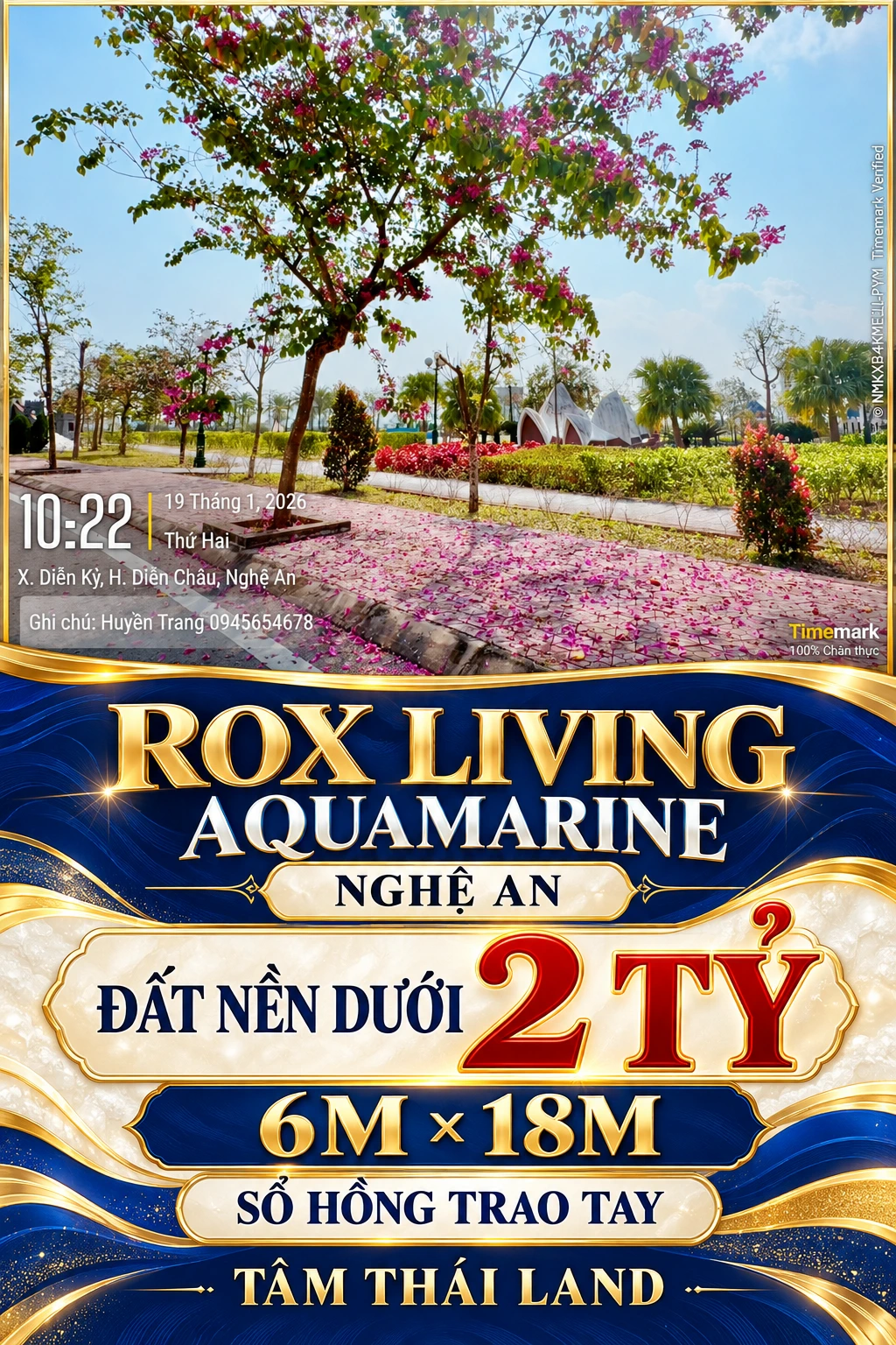 Tư liệu cây hoa tím và cánh hoa trên vỉa hè Aquamarine Nghệ An, thông tin đất nền dưới 2 tỷ, 6M × 18M, sổ hồng trao tay.